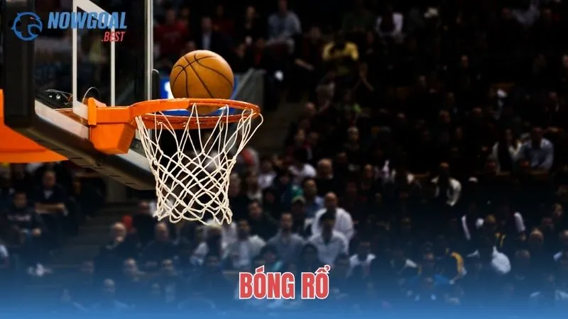 Bóng Rổ: Nhịp Đập Sôi Động Từ Các Sàn Đấu Chuyên Nghiệp Toàn Cầu