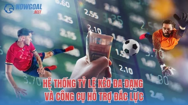 Hệ thống tỷ lệ kèo đa dạng và công cụ hỗ trợ đắc lực